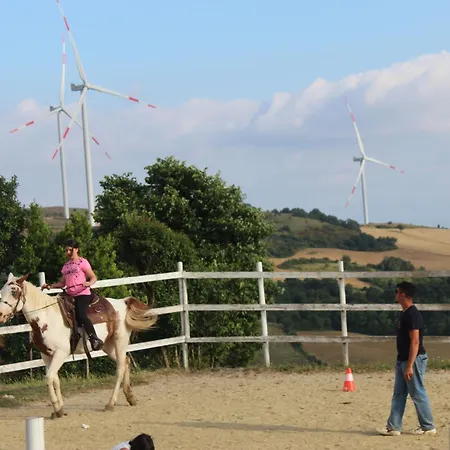 Castello Farm stay