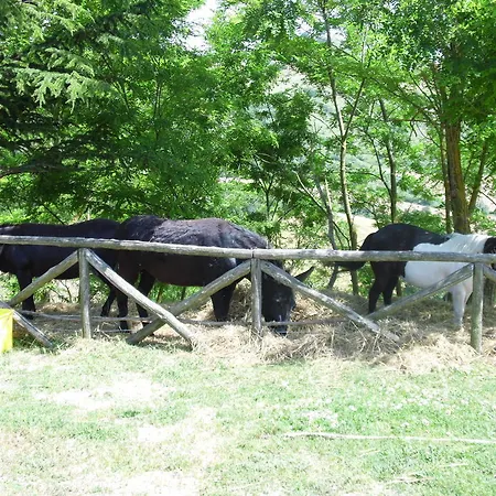 Castello Alloggio per agriturismo San Giorgio la Molara